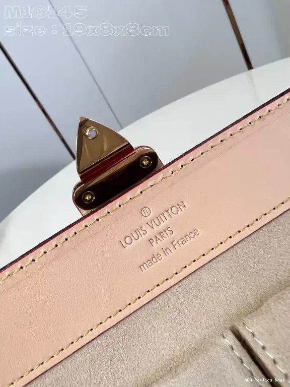 Aaa replica bags Case LOUIS VUITTON Jewelry 0701